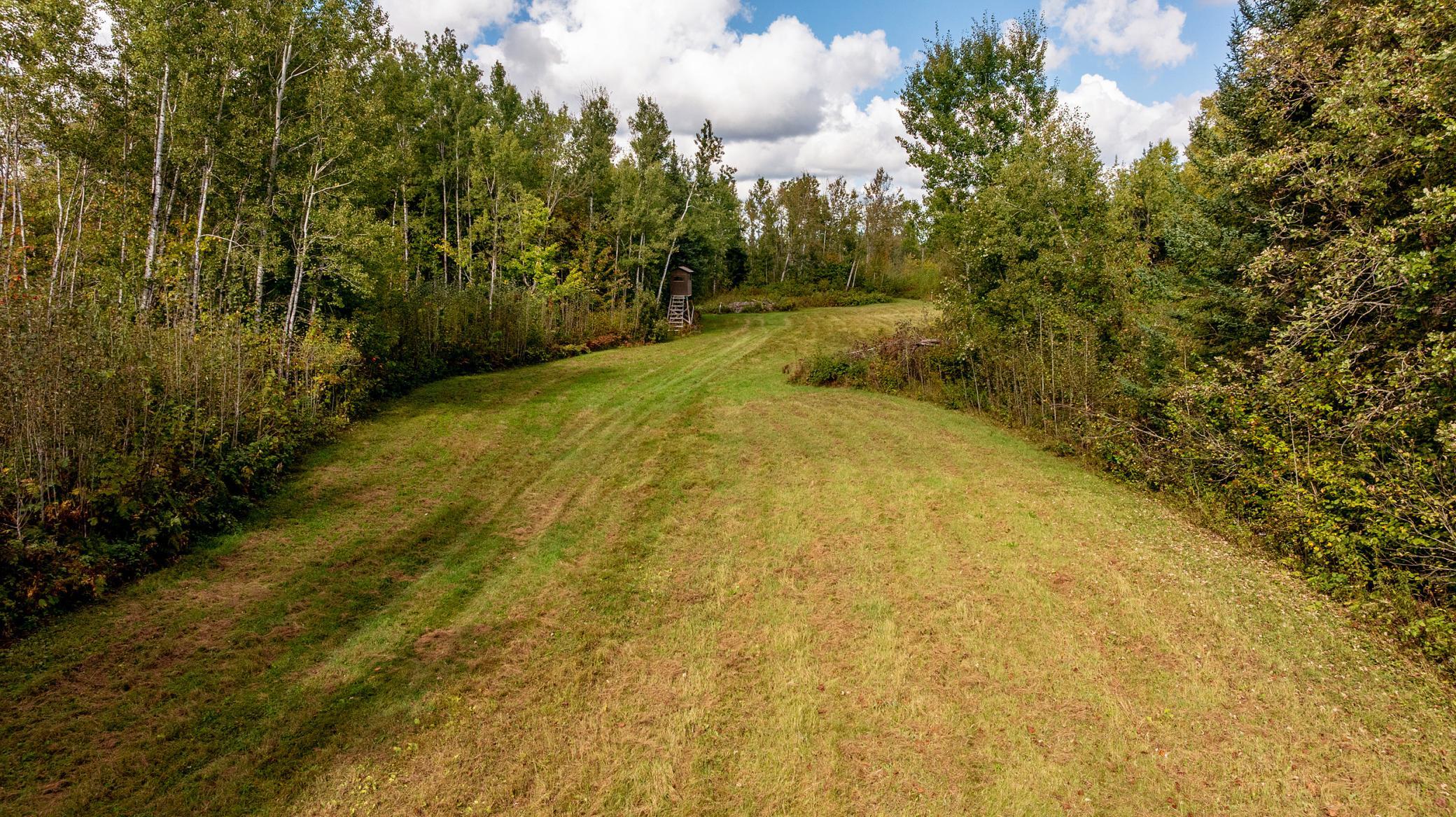 2007 land for sale at 384 Acres TBD Little Pine Road in Emily, MN (photo 14 of 45)