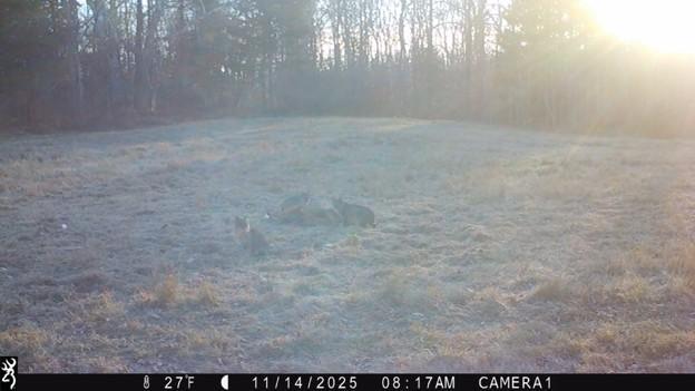 2007 land for sale at 384 Acres TBD Little Pine Road in Emily, MN (photo 22 of 45)