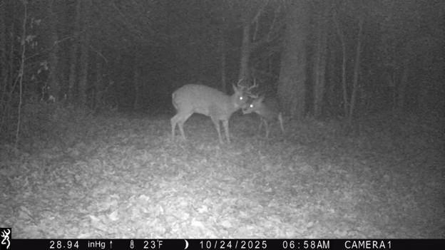 2007 land for sale at 384 Acres TBD Little Pine Road in Emily, MN (photo 28 of 45)