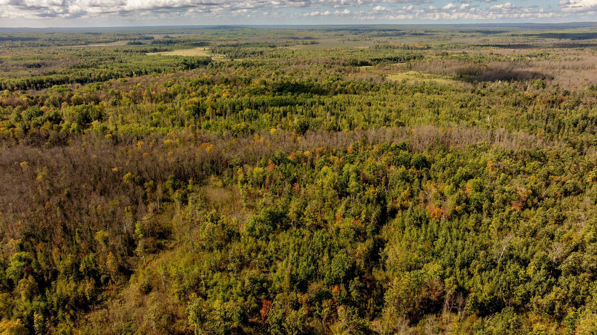 2007 land for sale at 384 Acres TBD Little Pine Road in Emily, MN (photo 4 of 45)