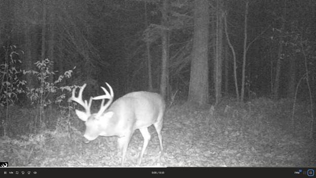 2007 land for sale at 384 Acres TBD Little Pine Road in Emily, MN (photo 31 of 45)
