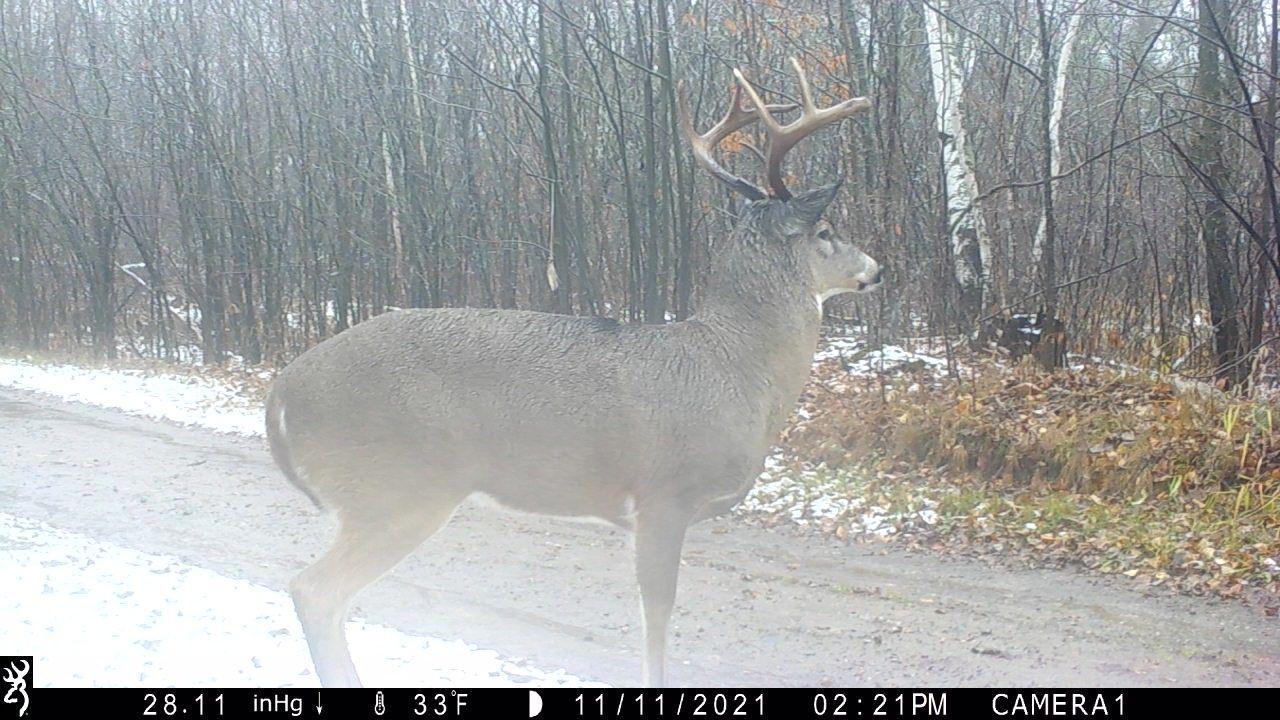2007 land for sale at 384 Acres TBD Little Pine Road in Emily, MN (photo 33 of 45)