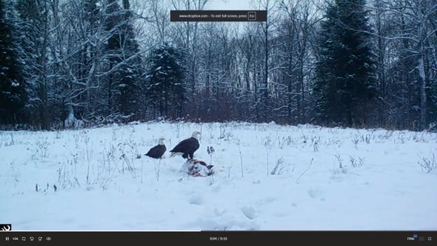 2007 land for sale at 384 Acres TBD Little Pine Road in Emily, MN (photo 34 of 45)