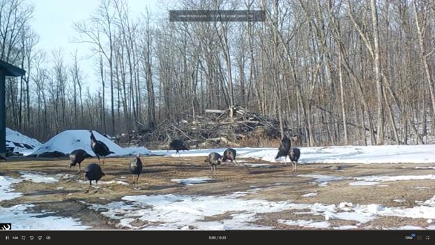 2007 land for sale at 384 Acres TBD Little Pine Road in Emily, MN (photo 38 of 45)