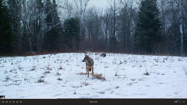 2007 land for sale at 384 Acres TBD Little Pine Road in Emily, MN (photo 43 of 45)
