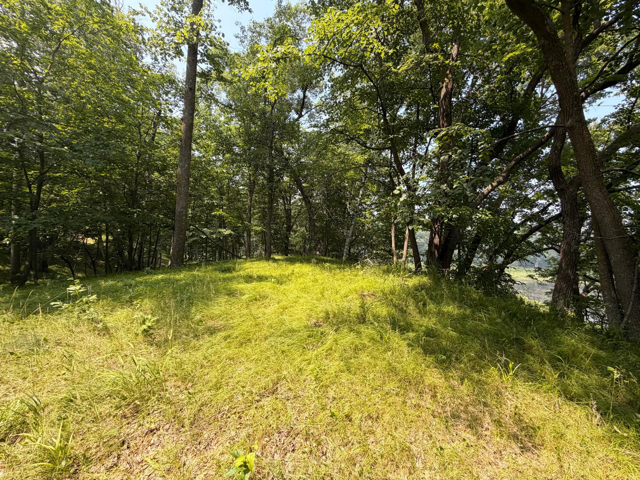 TBD Lake Douglas Way, Breezy Point MN 56472 - Photo 2 of 15