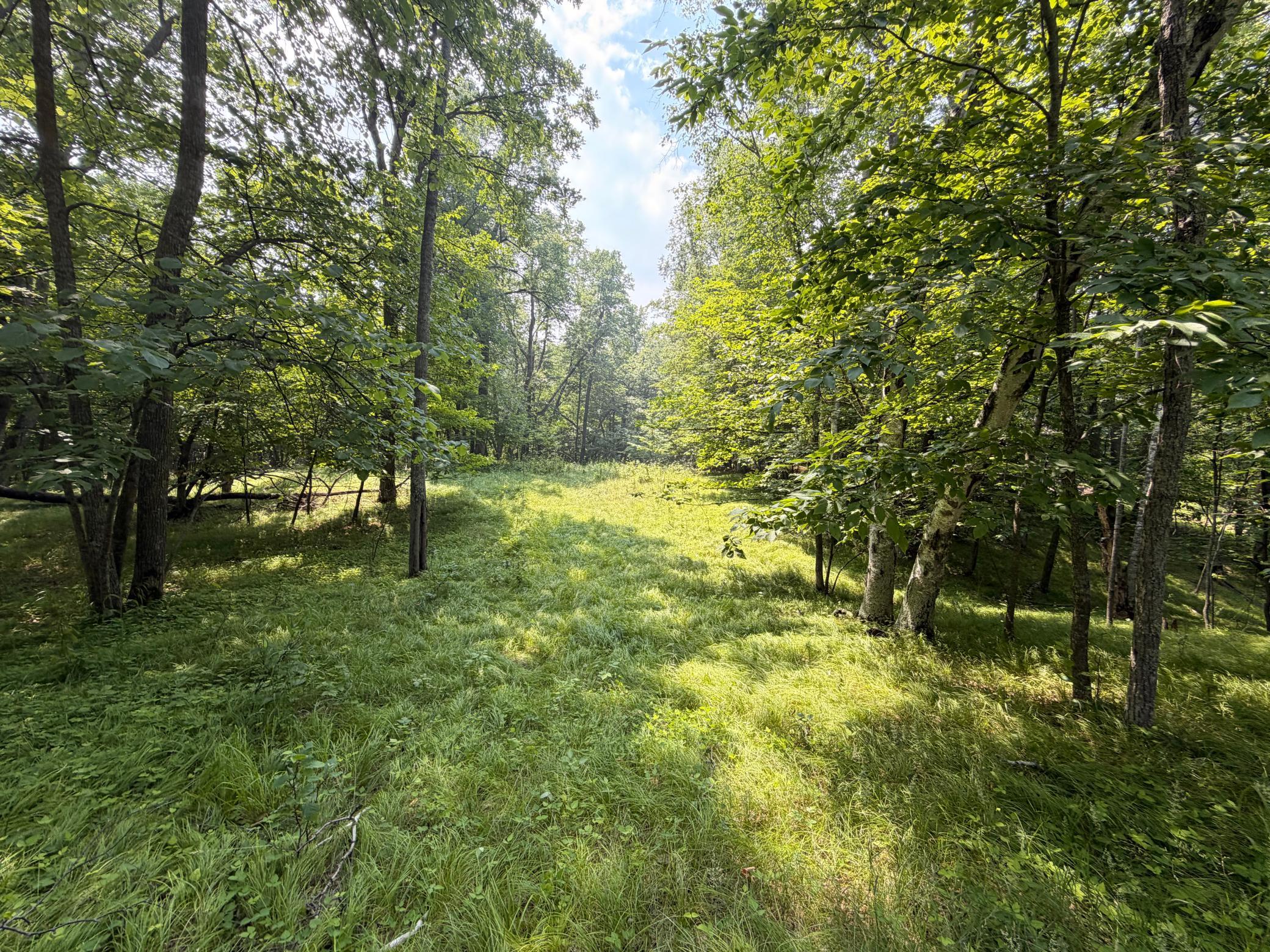 TBD Lake Douglas Way, Breezy Point MN 56472 - Photo 14 of 15