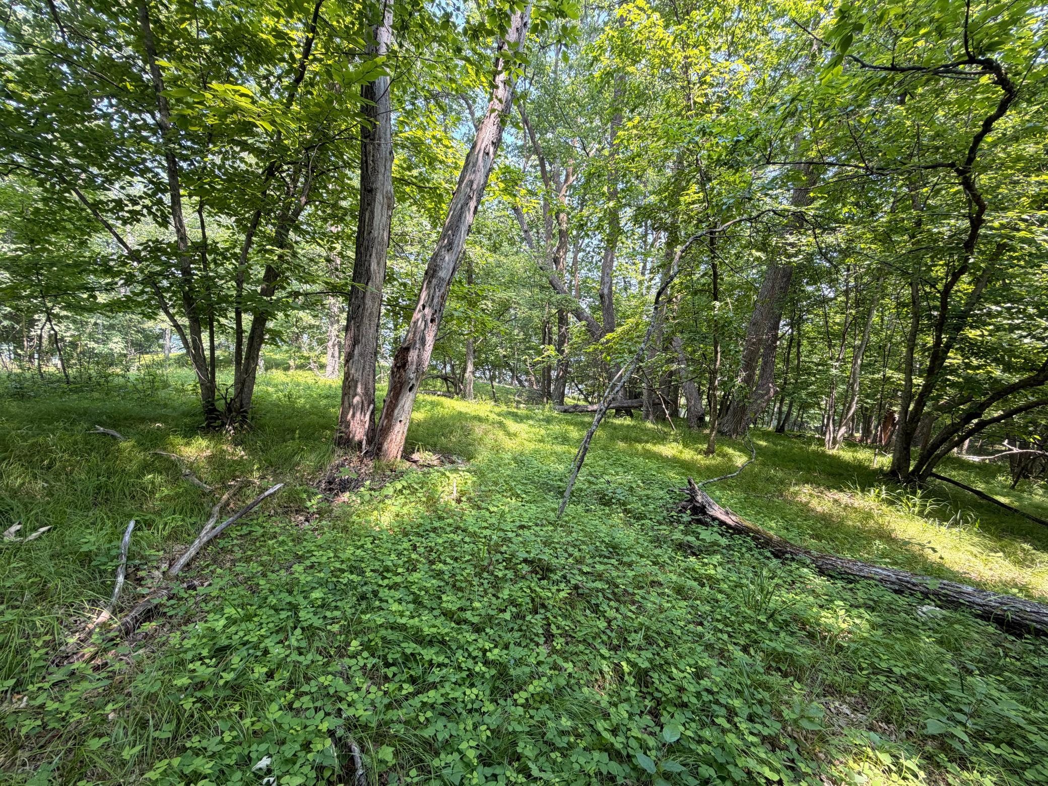 TBD Lake Douglas Way, Breezy Point MN 56472 - Photo 15 of 15