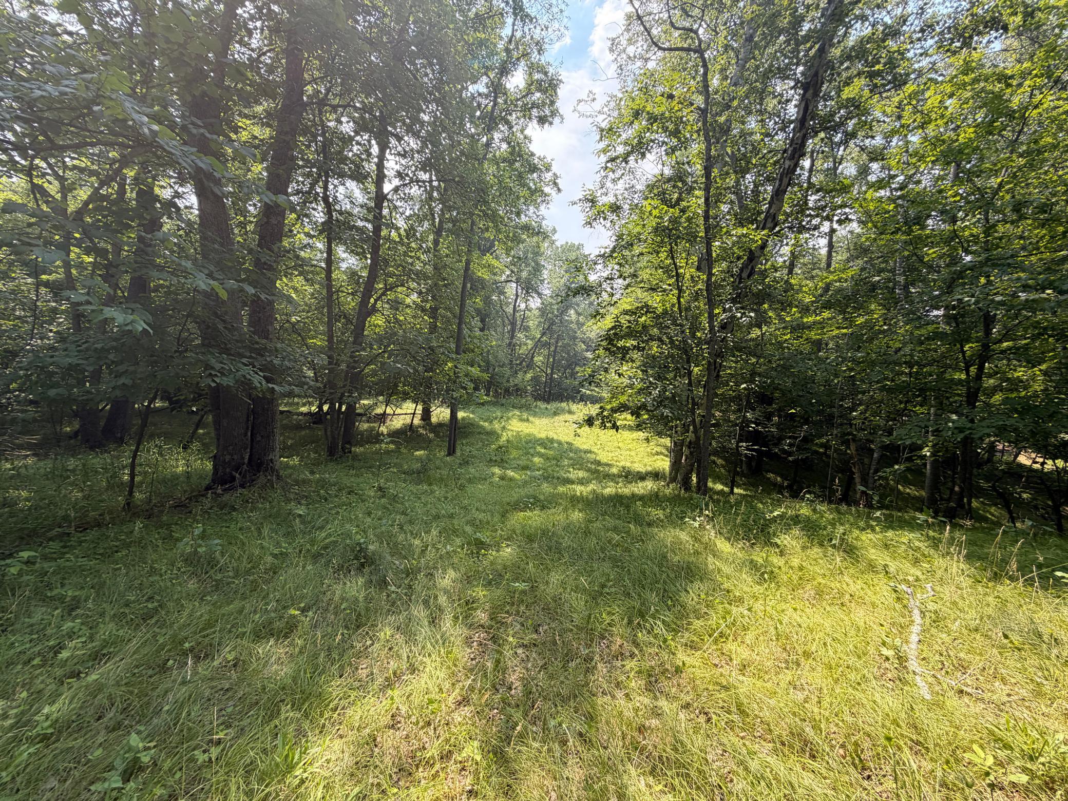 TBD Lake Douglas Way, Breezy Point MN 56472 - Photo 8 of 15