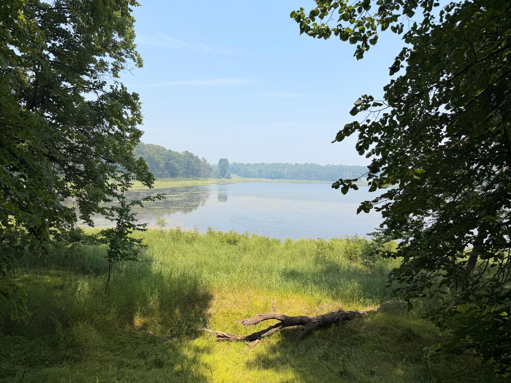 TBD Lake Douglas Way, Breezy Point MN 56472 - Photo 9 of 15