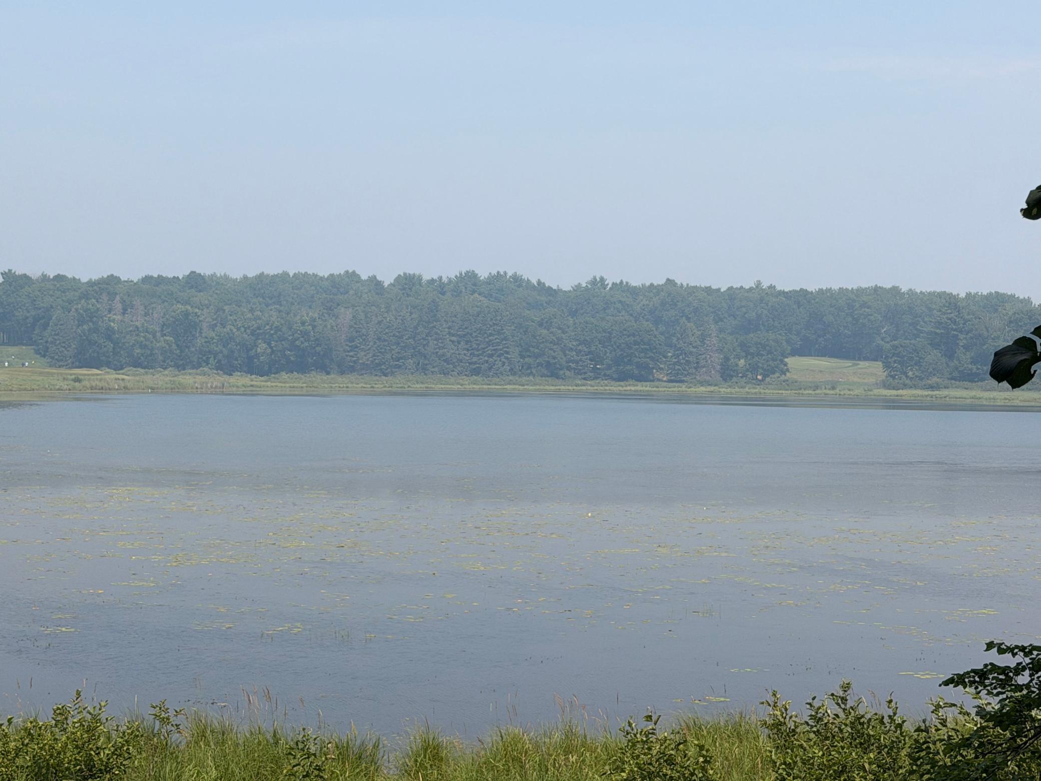 TBD Lake Douglas Way, Breezy Point MN 56472 - Photo 10 of 15