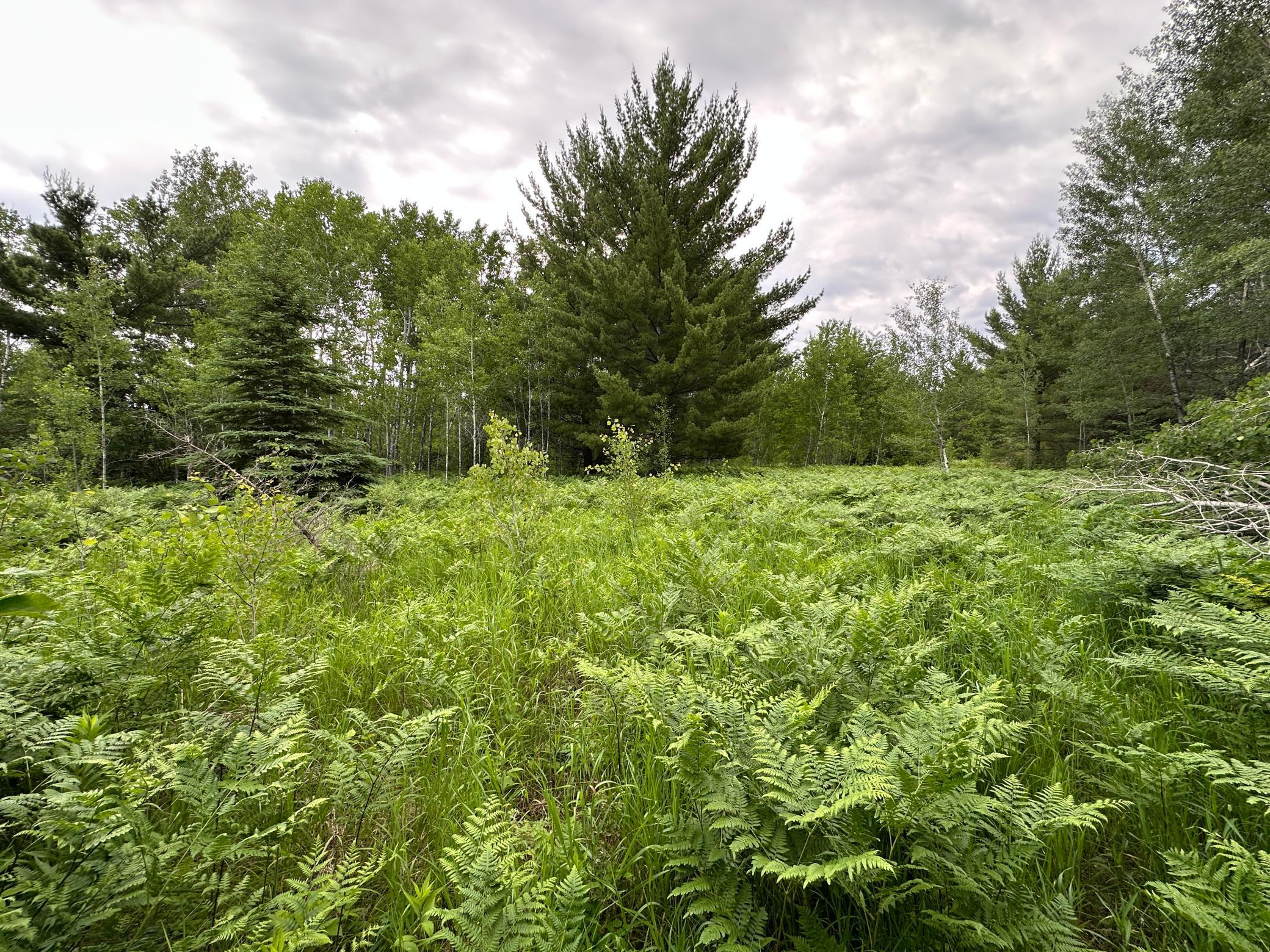 TBD 269th Avenue, Laporte MN 56461 - Photo 12 of 24