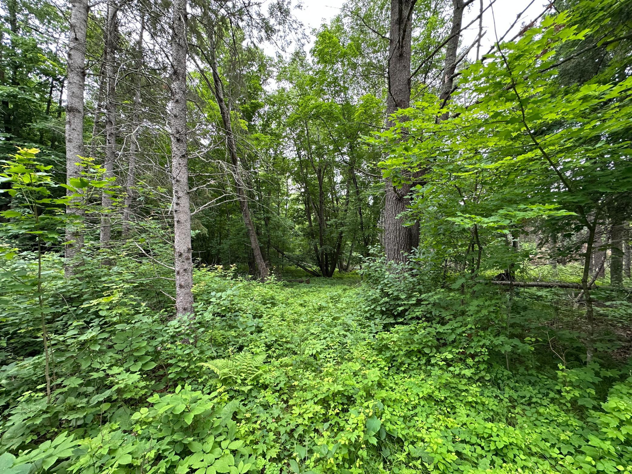 TBD 269th Avenue, Laporte MN 56461 - Photo 18 of 24