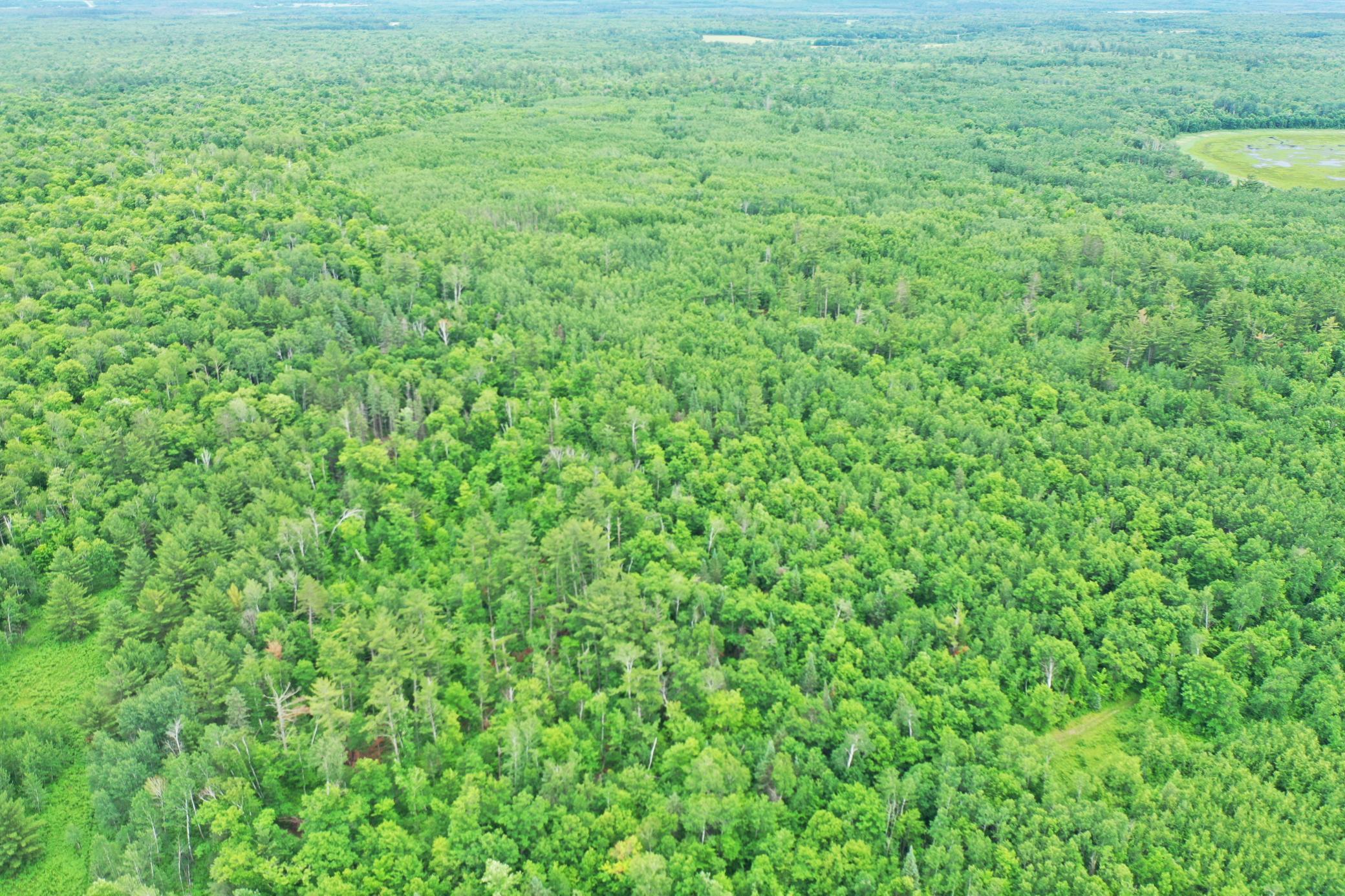 TBD 269th Avenue, Laporte MN 56461 - Photo 5 of 24