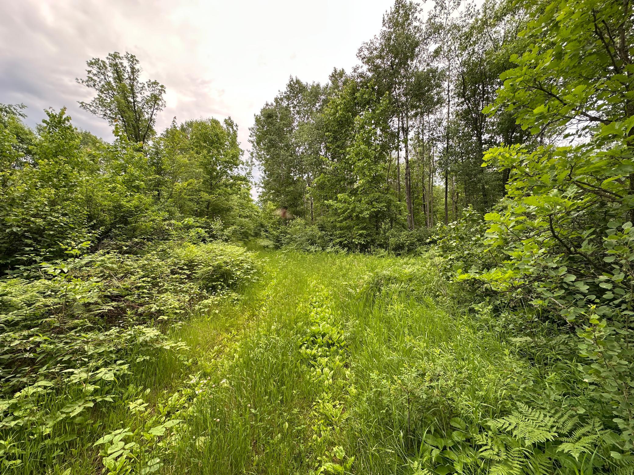 TBD 269th Avenue, Laporte MN 56461 - Photo 10 of 24