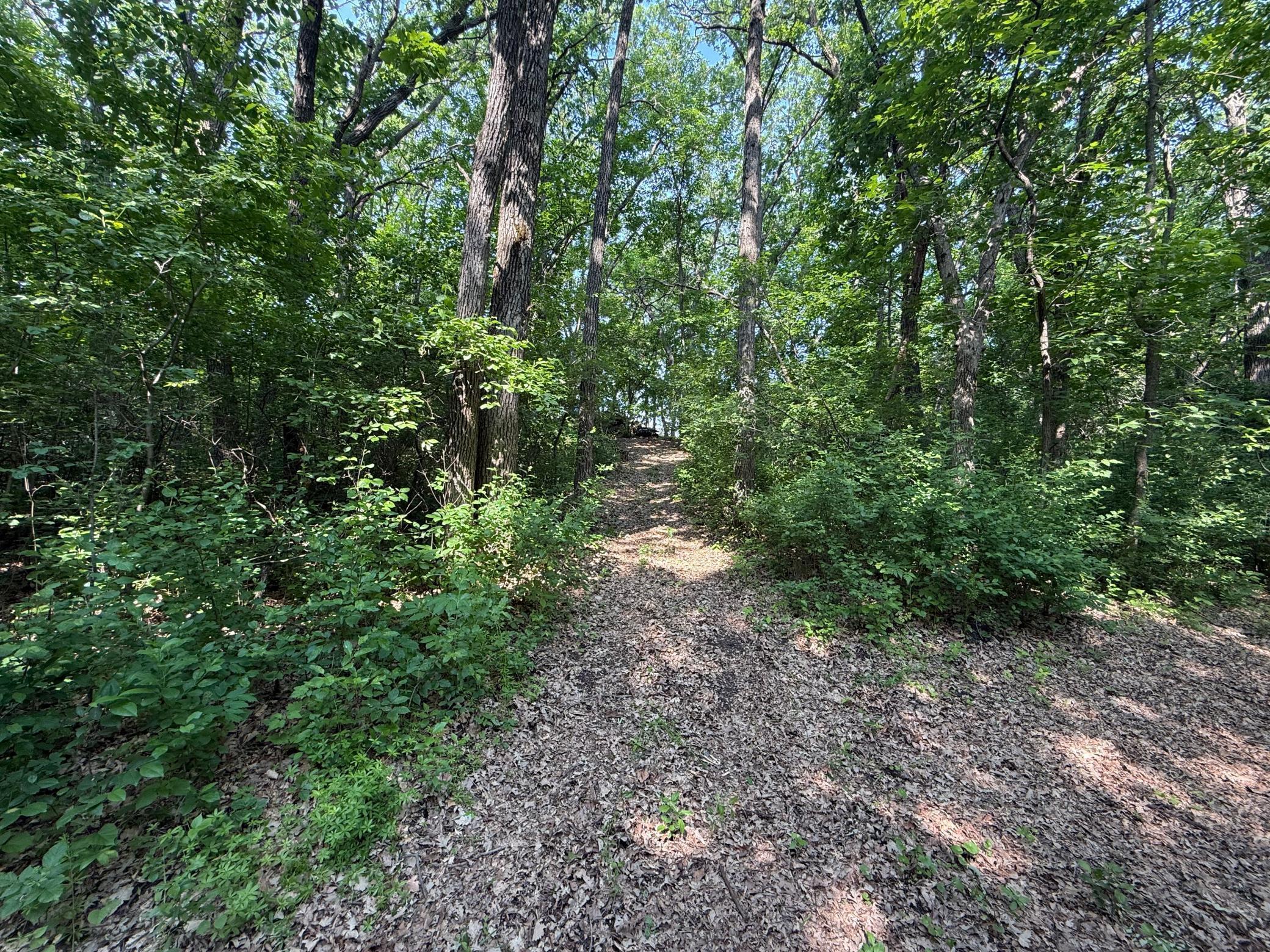 TBD Ridgeview Lane W, Detroit Lakes MN 56501 - Photo 9 of 10
