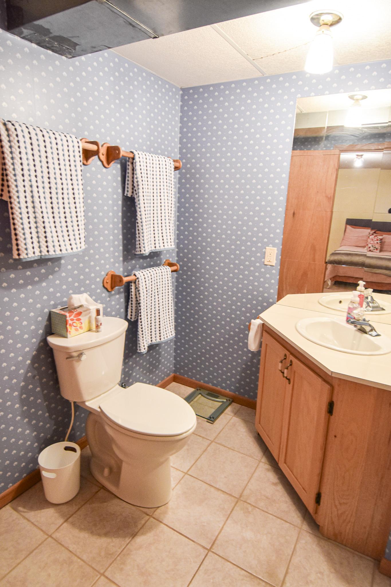 808 Alice Drive, Thief River Falls MN 56701 - Photo 49 of 60