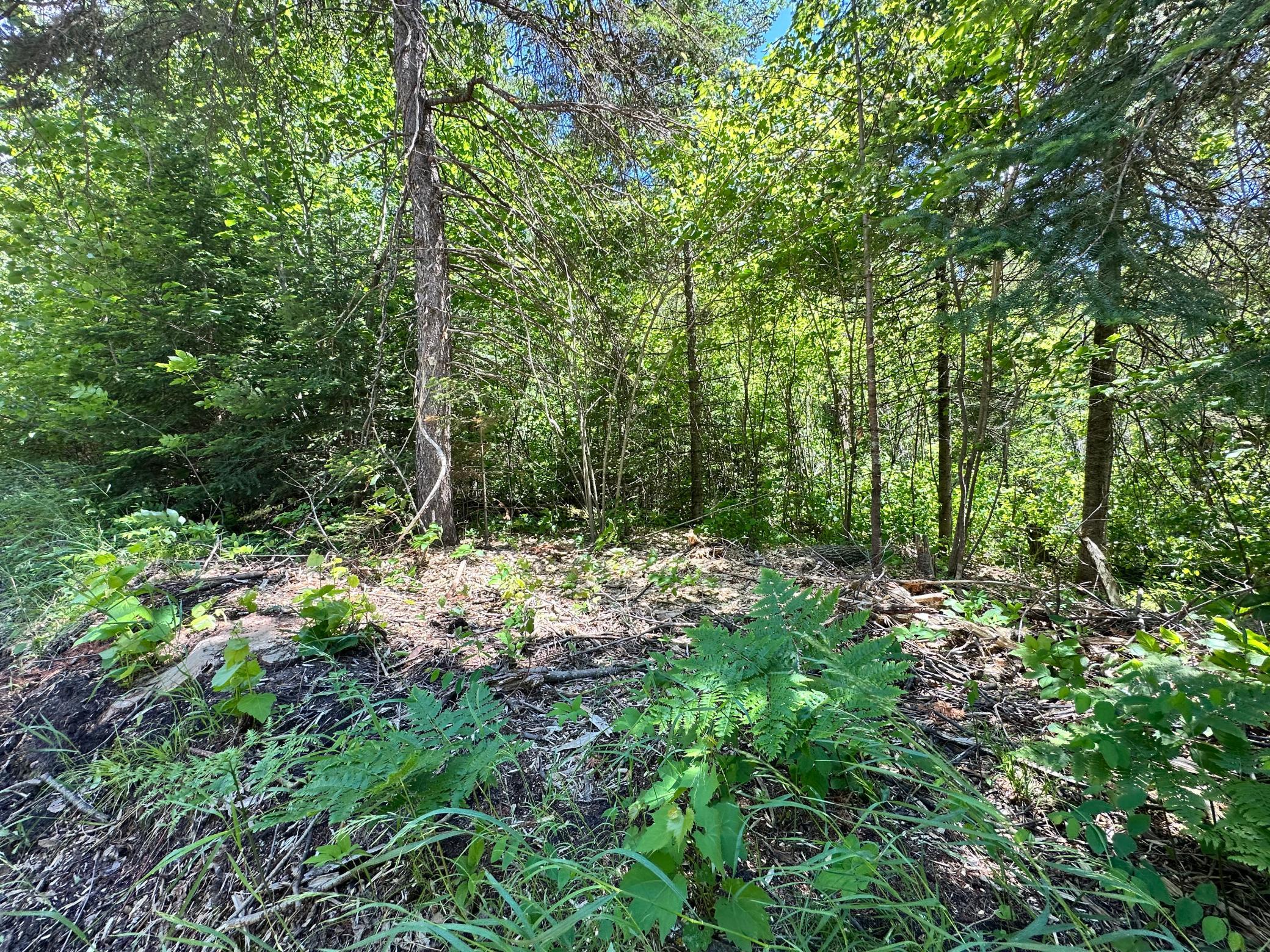 TBD Kansas City Road NE, Waskish MN 56685 - Photo 10 of 15