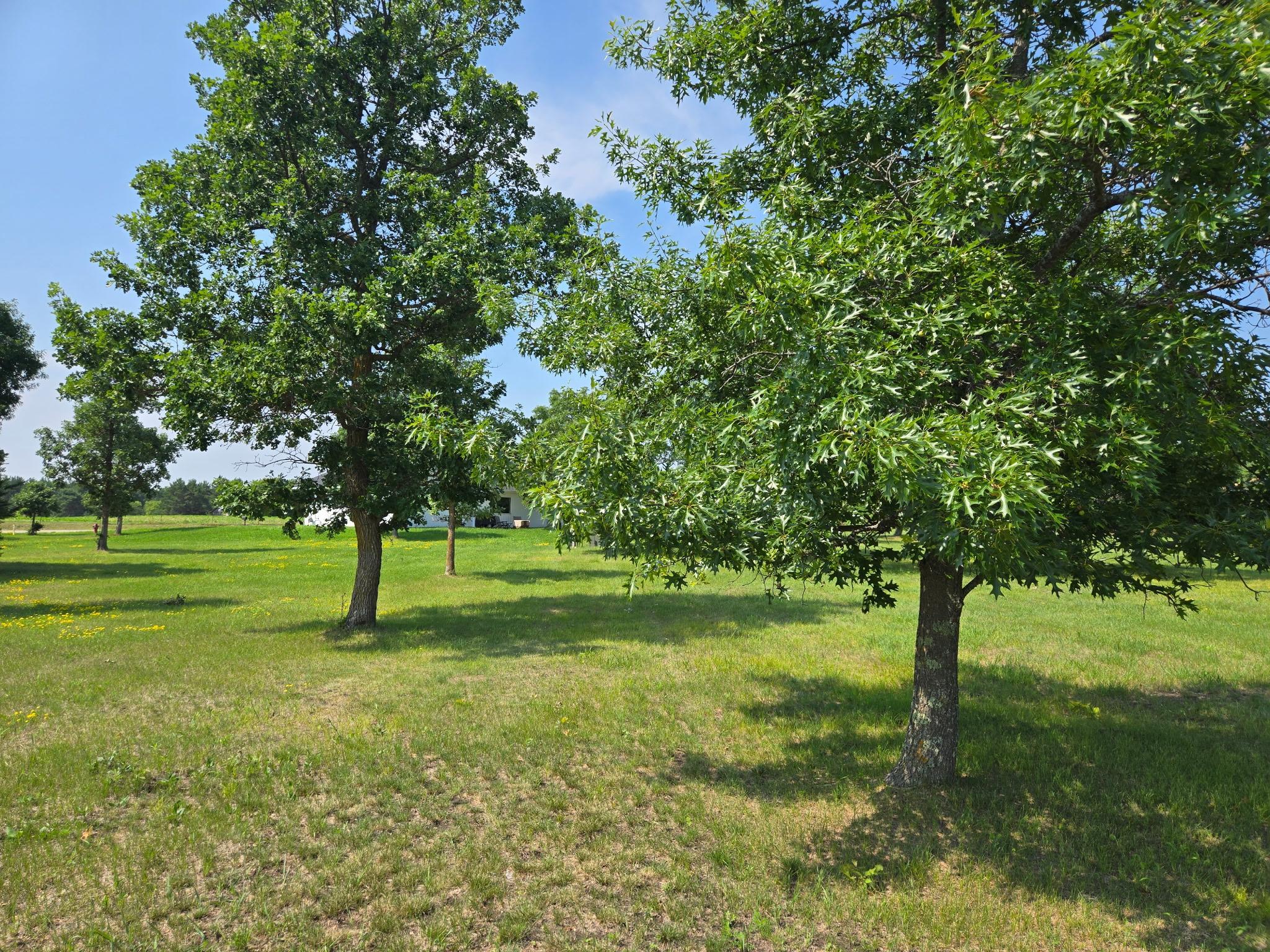 TBD Walnut Ln, Park Rapids MN 56470 - Photo 3 of 7