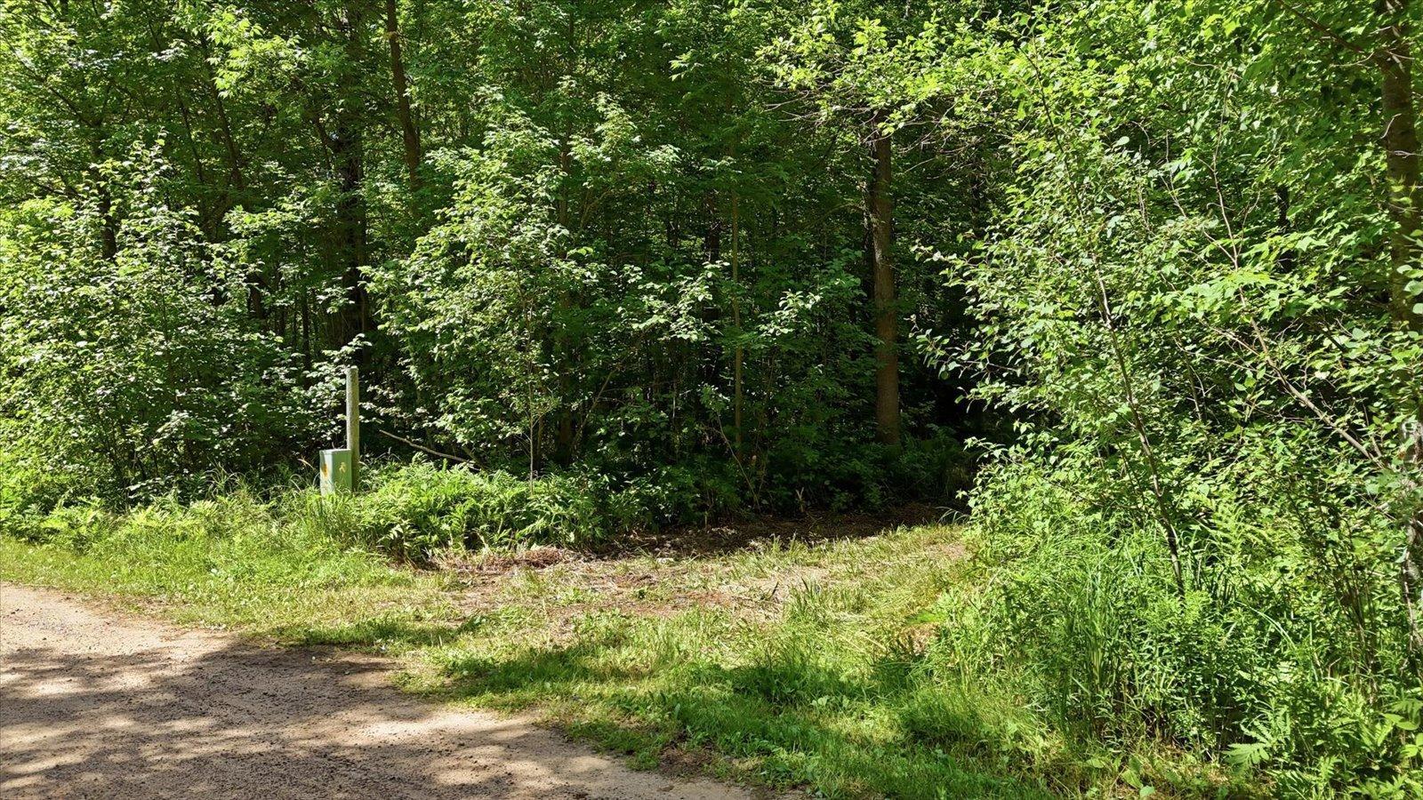 land for sale at TBD Guile Lake Road in Cohasset, MN (photo 11 of 13)