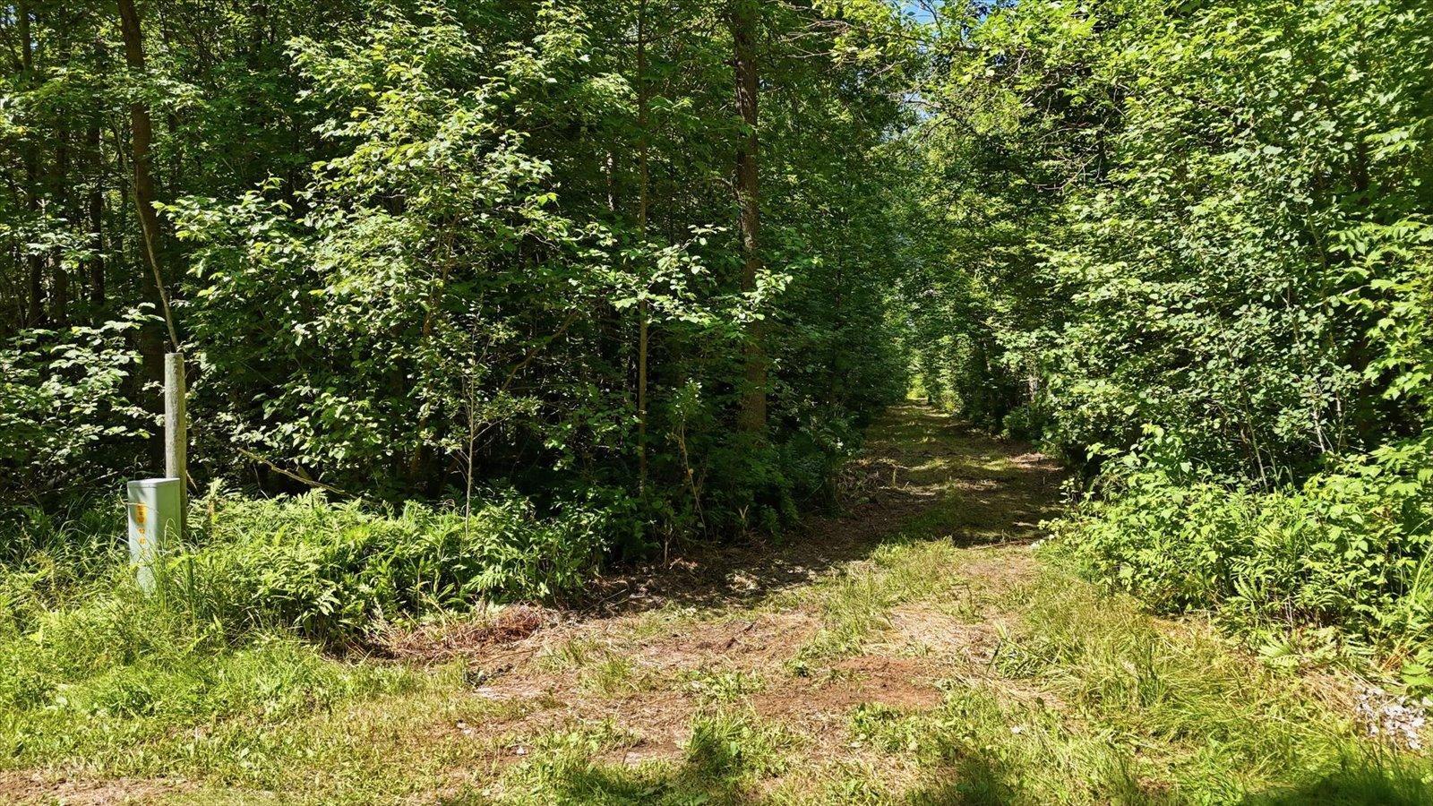 land for sale at TBD Guile Lake Road in Cohasset, MN (photo 13 of 13)