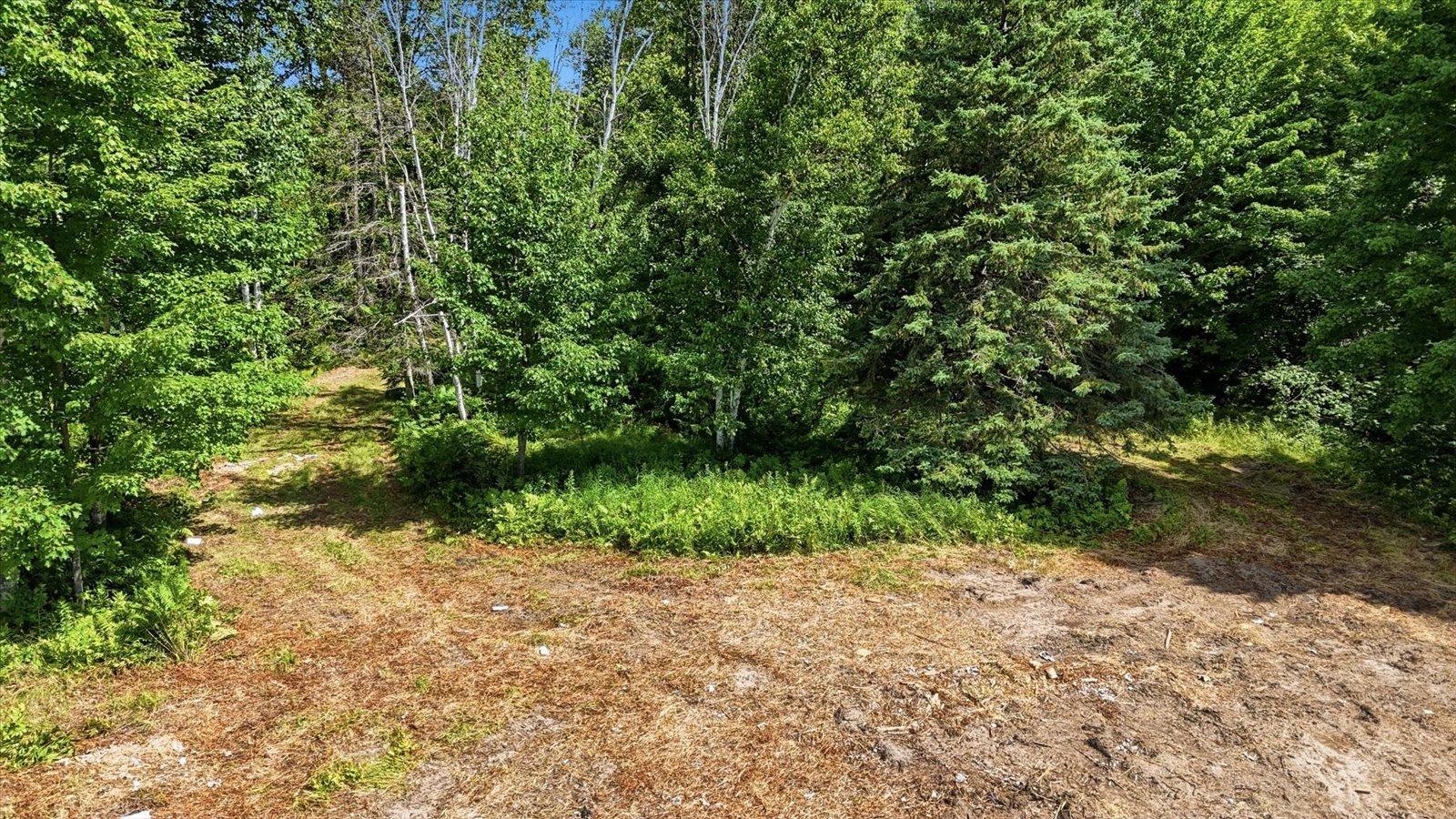 land for sale at TBD Guile Lake Road in Cohasset, MN (photo 6 of 13)