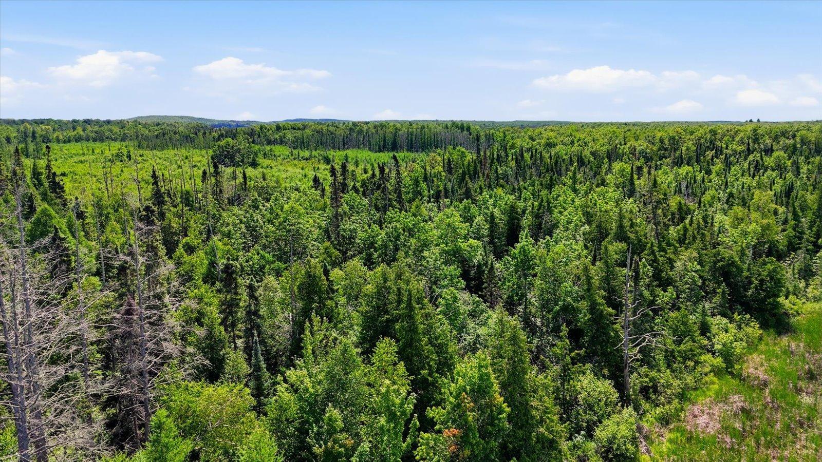 land for sale at TBD Guile Lake Road in Cohasset, MN (photo 9 of 13)