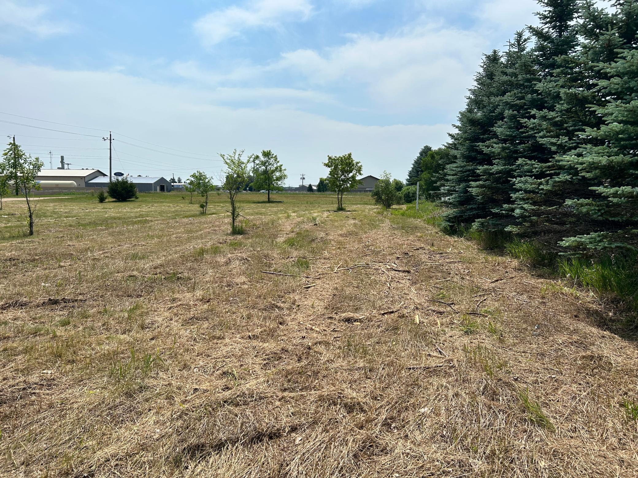 TBD Main Ave S, Park Rapids MN 56470 - Photo 3 of 7