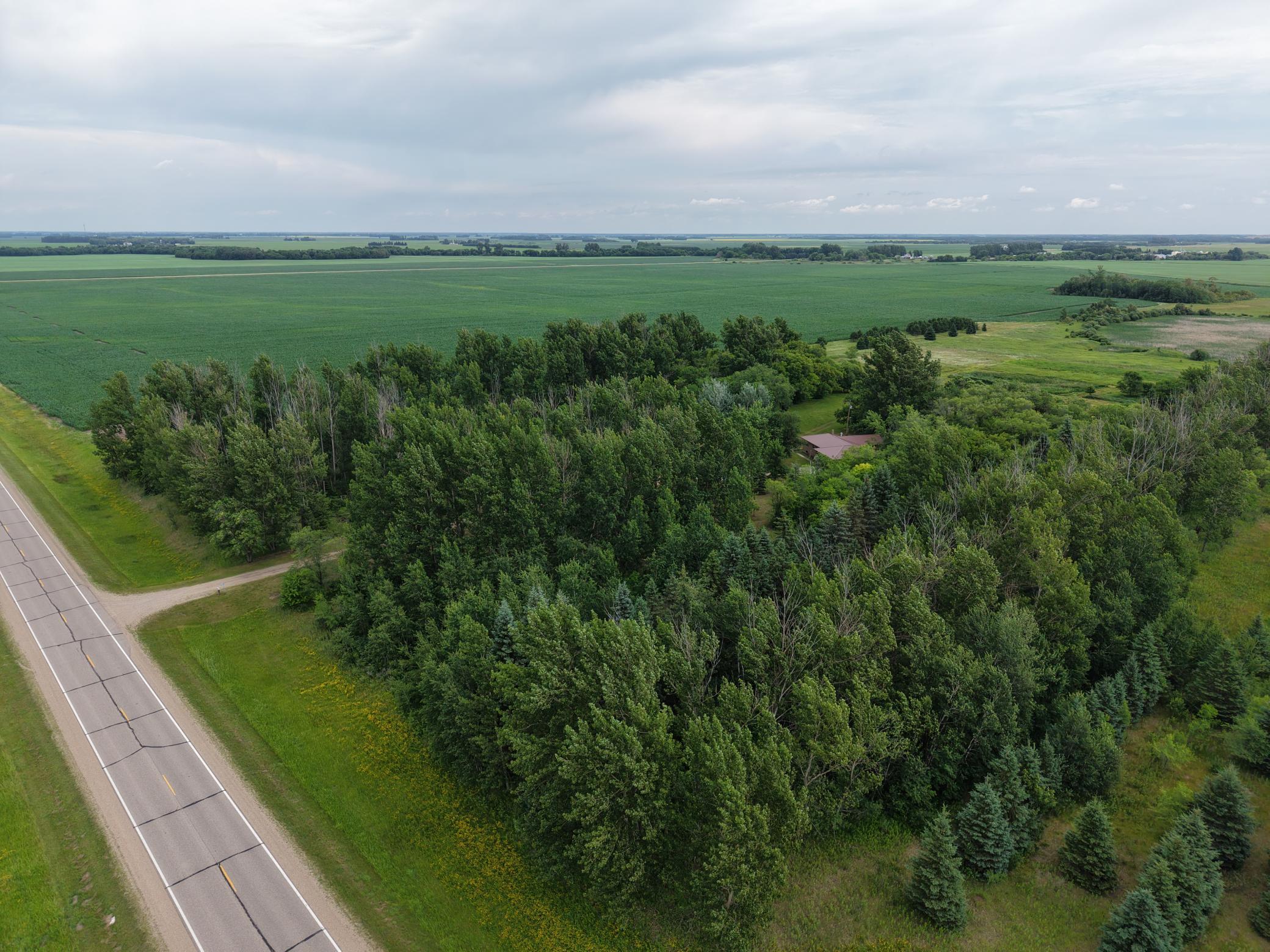 27560 280th Avenue SE, Brooks MN 56715 - Photo 51 of 54
