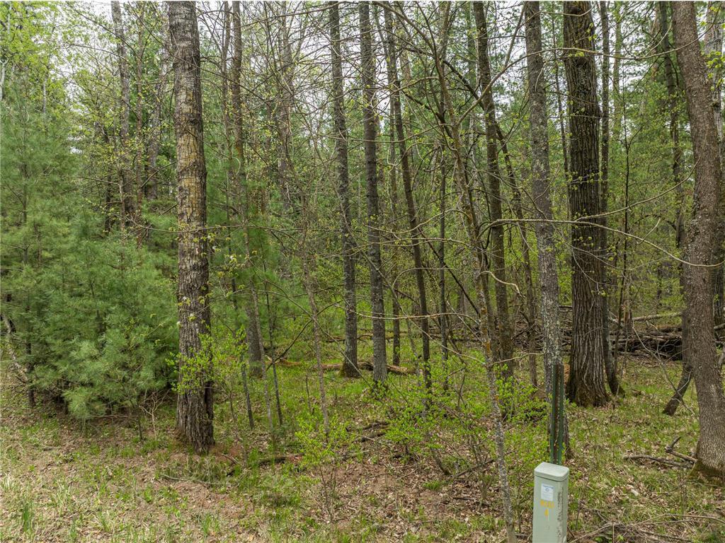 TBD Chokecherry Drive, Nevis MN 56467 - Photo 3 of 11