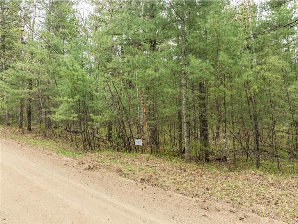 TBD Chokecherry Drive, Nevis MN 56467 - Photo 4 of 11