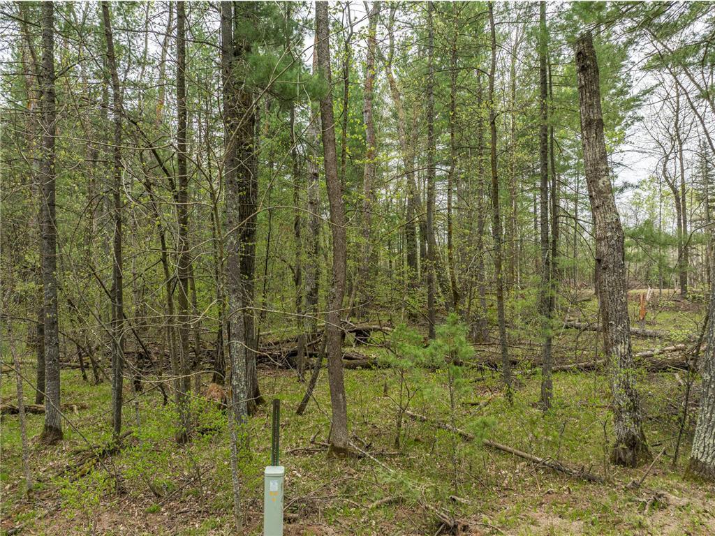 TBD Chokecherry Drive, Nevis MN 56467 - Photo 8 of 11
