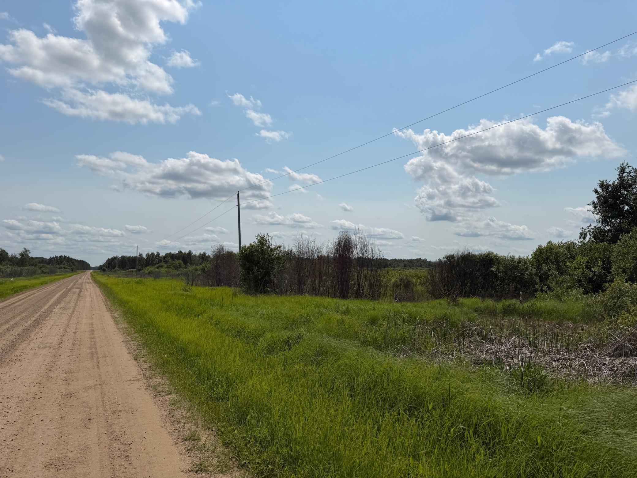 TBD Bunny Hill Road, Sebeka MN 56477 - Photo 12 of 23