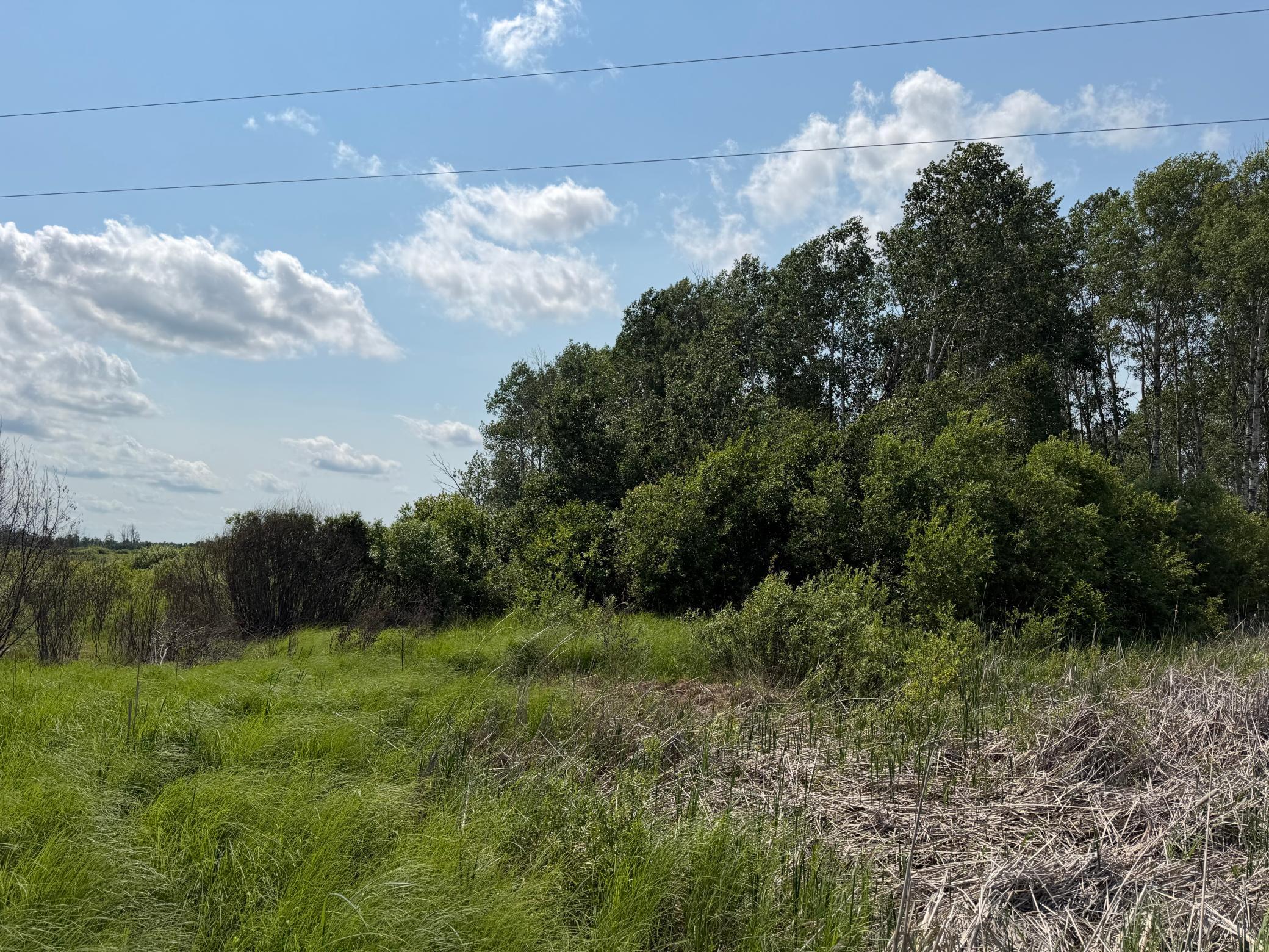 TBD Bunny Hill Road, Sebeka MN 56477 - Photo 13 of 23