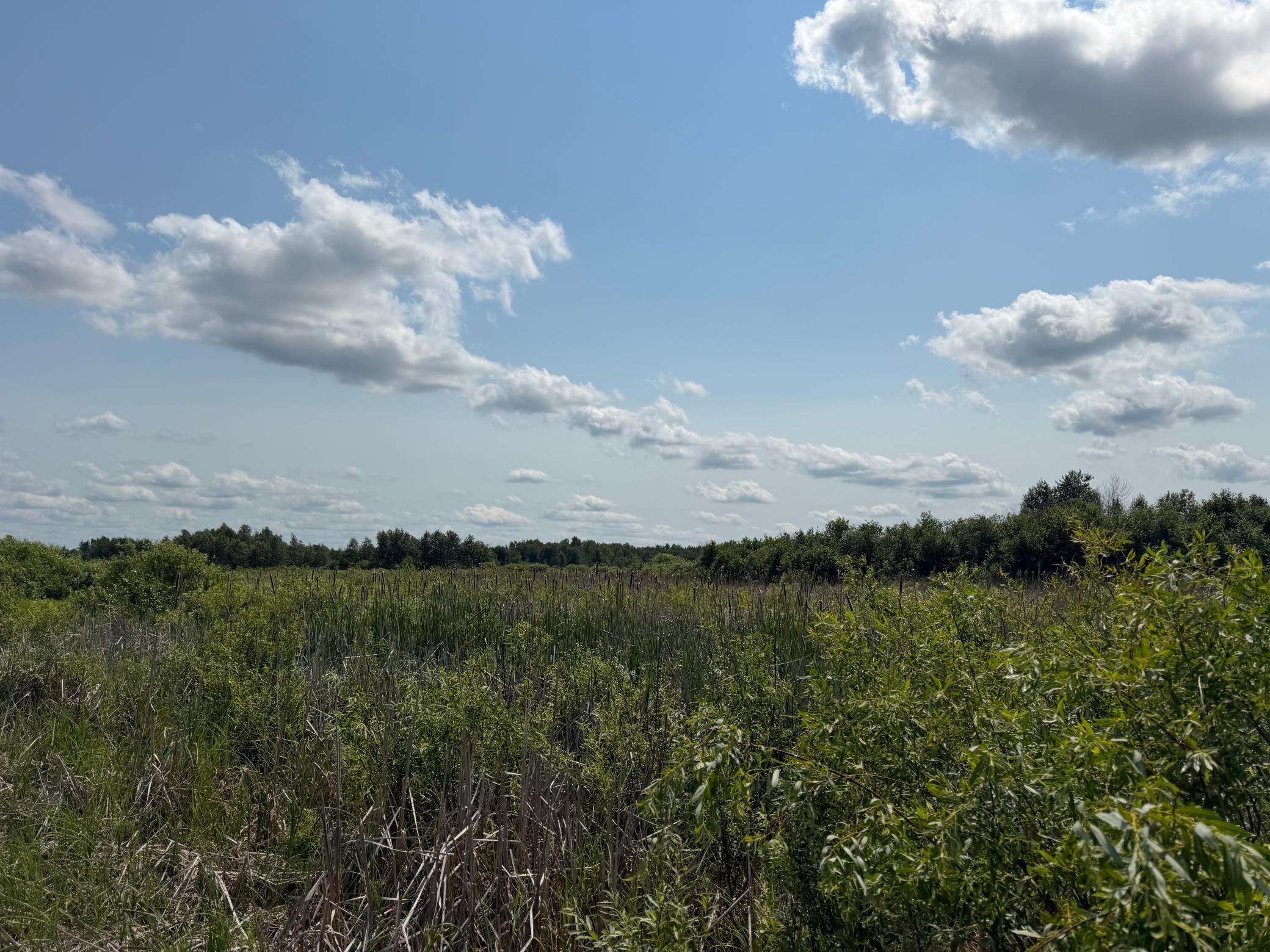 TBD Bunny Hill Road, Sebeka MN 56477 - Photo 18 of 23