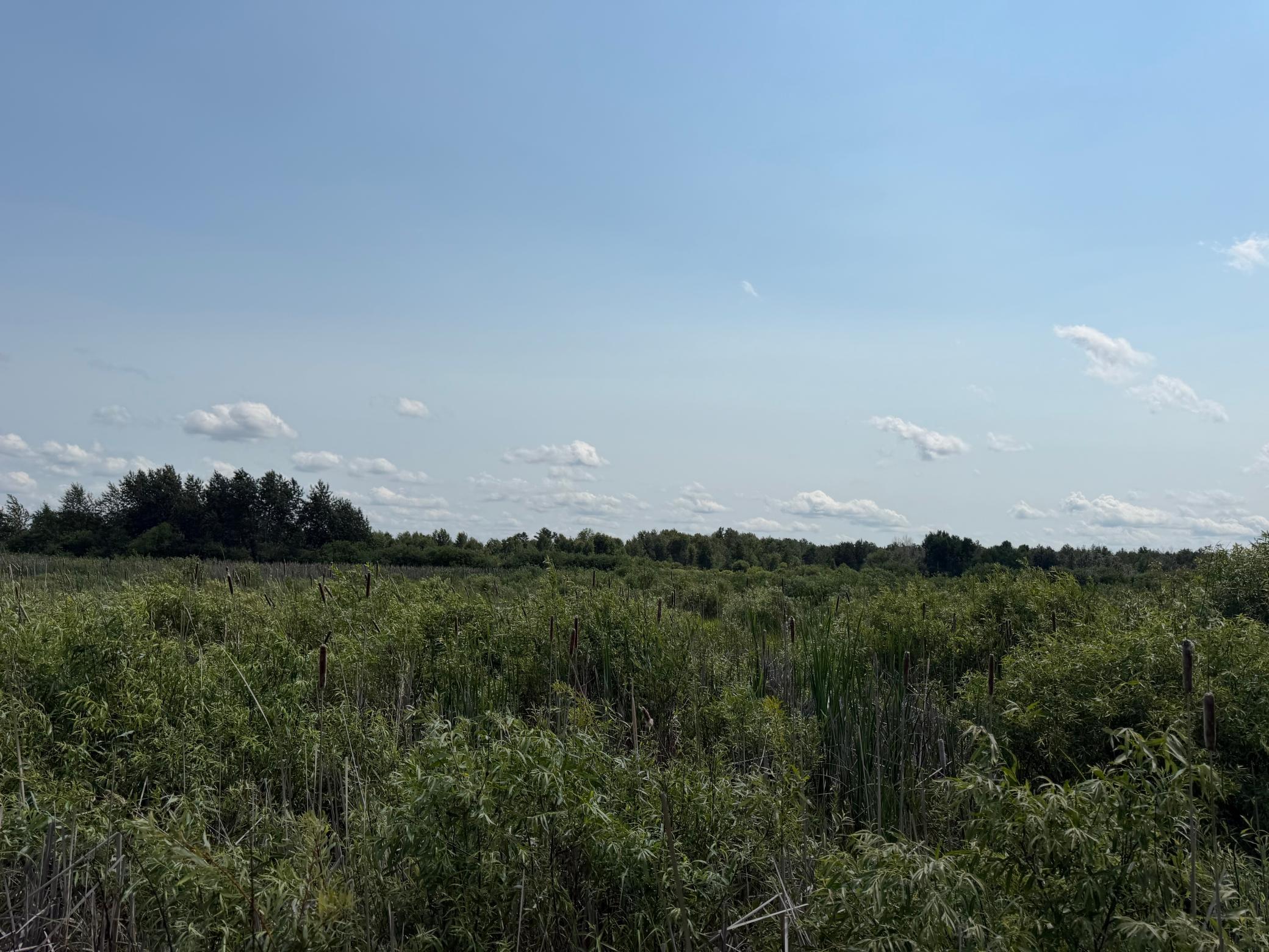 TBD Bunny Hill Road, Sebeka MN 56477 - Photo 19 of 23
