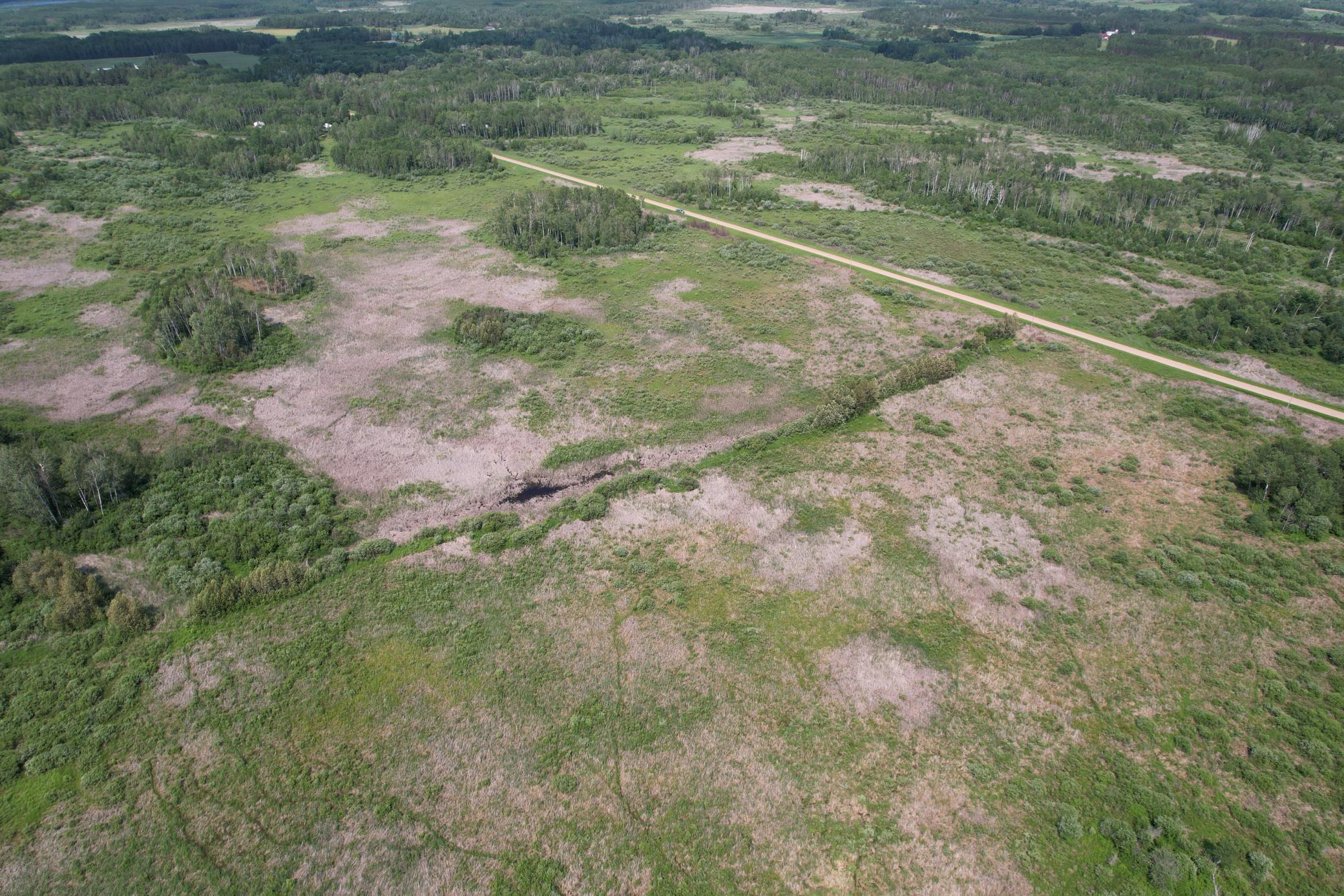 TBD Bunny Hill Road, Sebeka MN 56477 - Photo 10 of 23