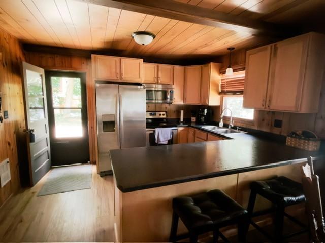 20931 Aljoe Lane, Rochert MN 56578 - Photo 17 of 26