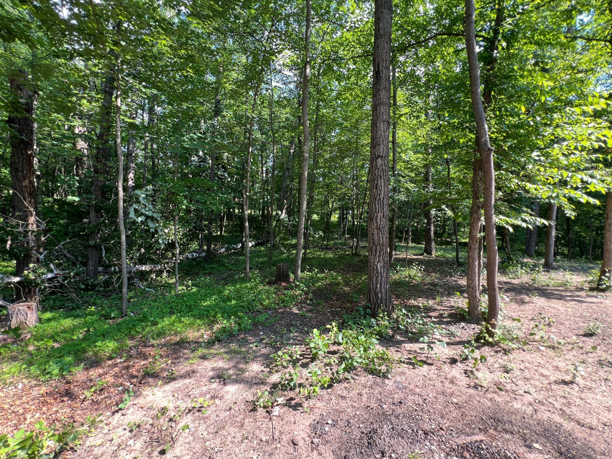 29928 Aztec Circle, Breezy Point MN 56472 - Photo 8 of 11