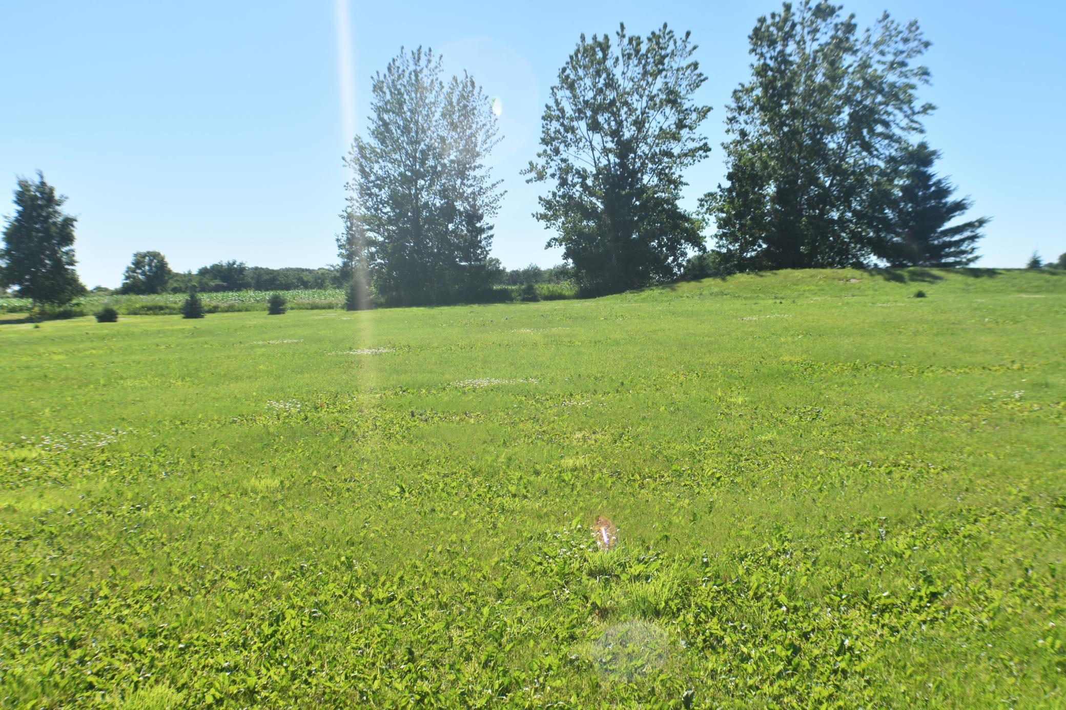 1342 Calvary Road SE, Osakis MN 56360 - Photo 4 of 29