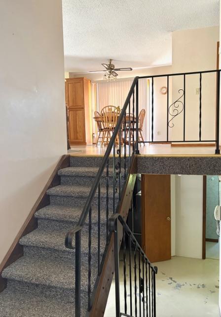 22532 330th Avenue, Badger MN 56714 - Photo 12 of 19