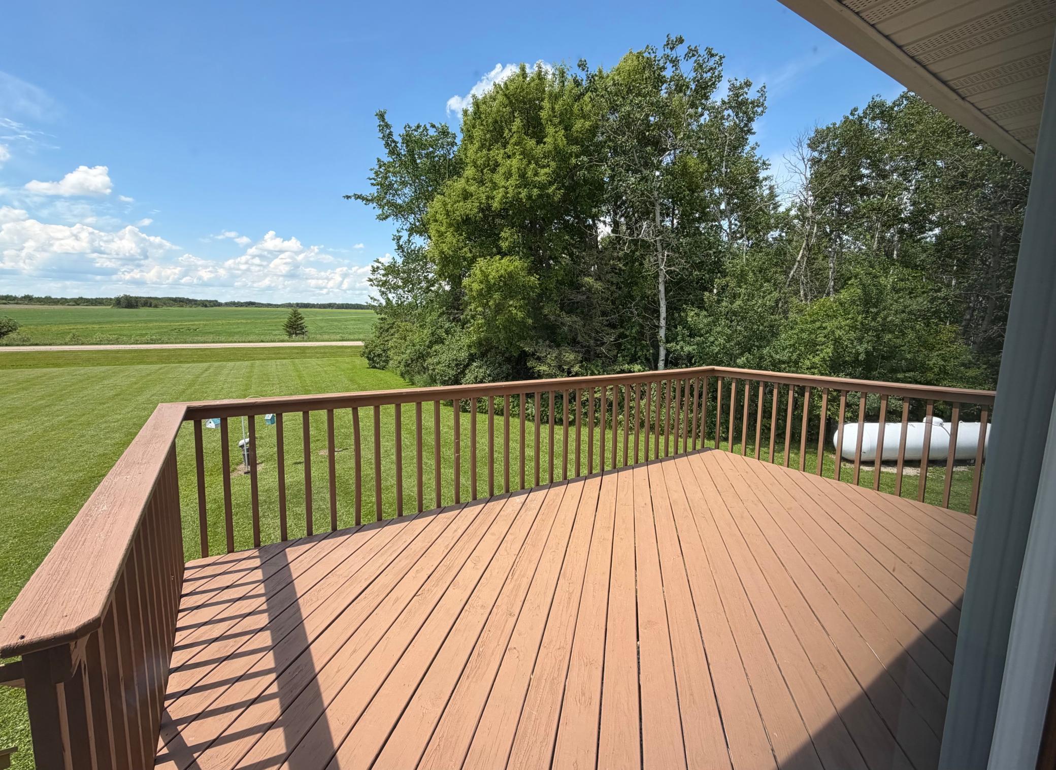 22532 330th Avenue, Badger MN 56714 - Photo 4 of 19