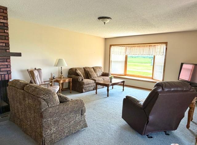 22532 330th Avenue, Badger MN 56714 - Photo 6 of 19