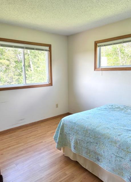 22532 330th Avenue, Badger MN 56714 - Photo 10 of 19