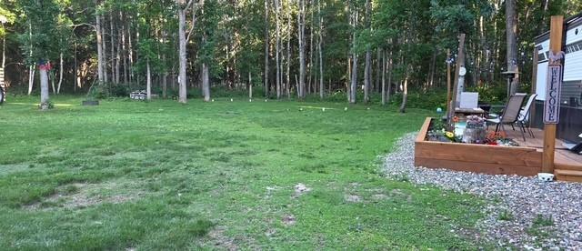 33810 Wildberry Lane, Pequot Lakes MN 56472 - Photo 5 of 8
