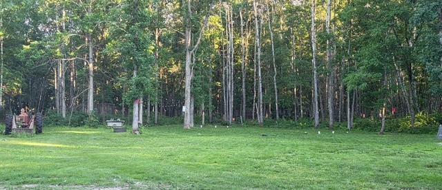 33810 Wildberry Lane, Pequot Lakes MN 56472 - Photo 6 of 8