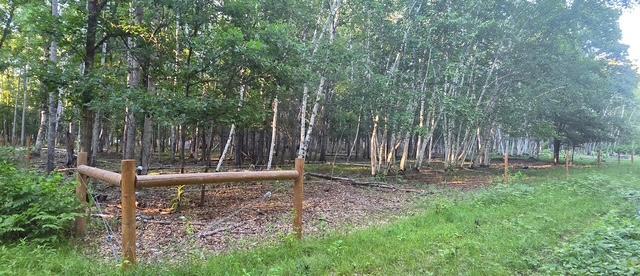 33810 Wildberry Lane, Pequot Lakes MN 56472 - Photo 7 of 8