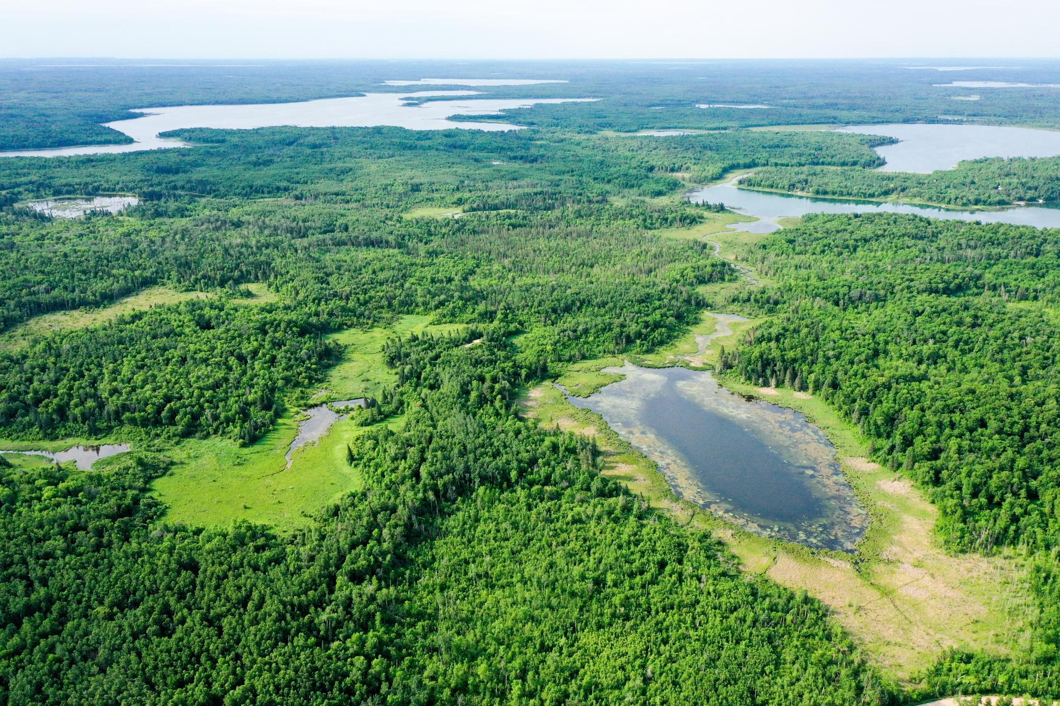1991 land for sale at 38953 Ada Beach Road in Waubun, MN (photo 2 of 94)
