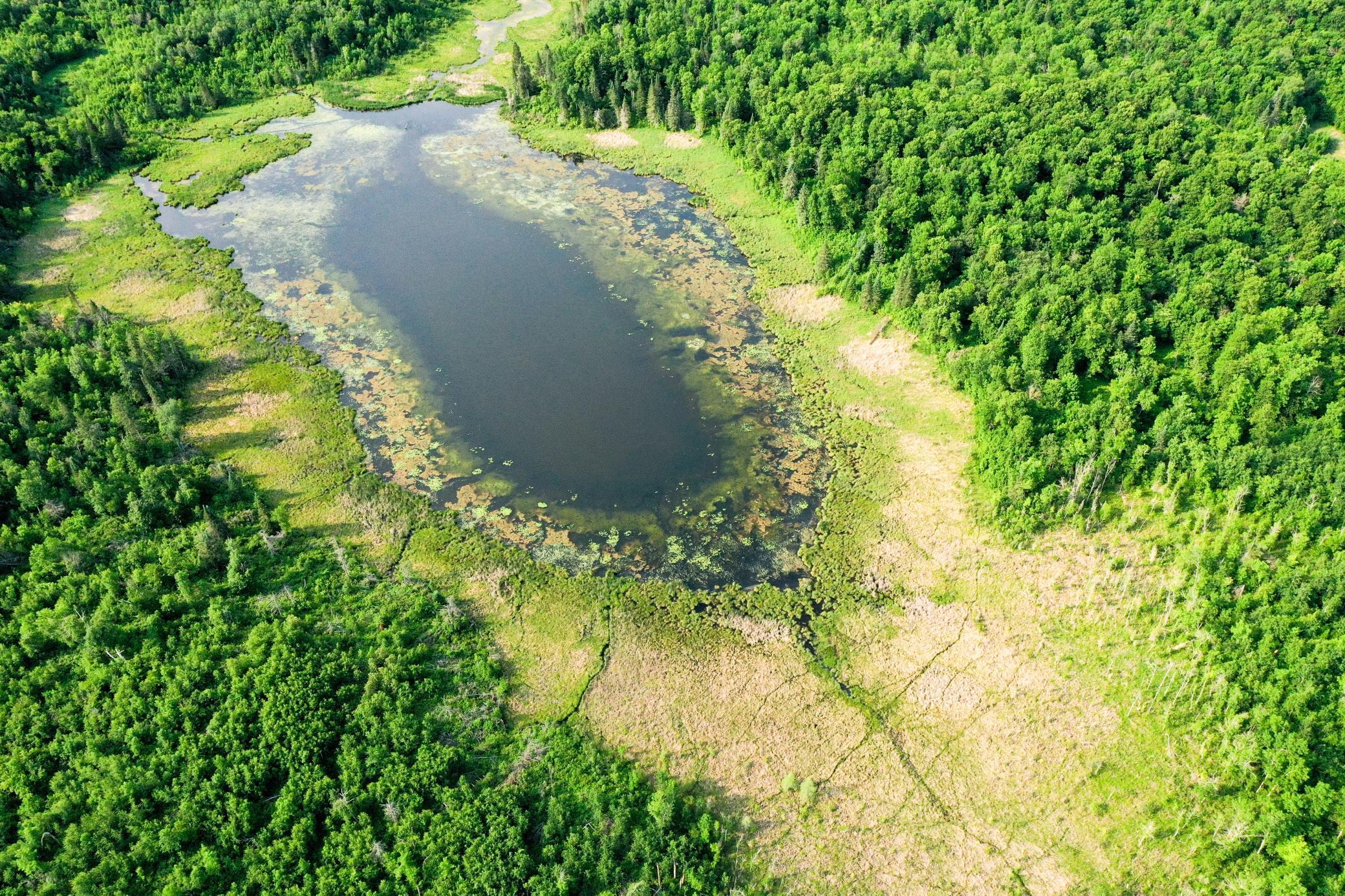 1991 land for sale at 38953 Ada Beach Road in Waubun, MN (photo 11 of 94)