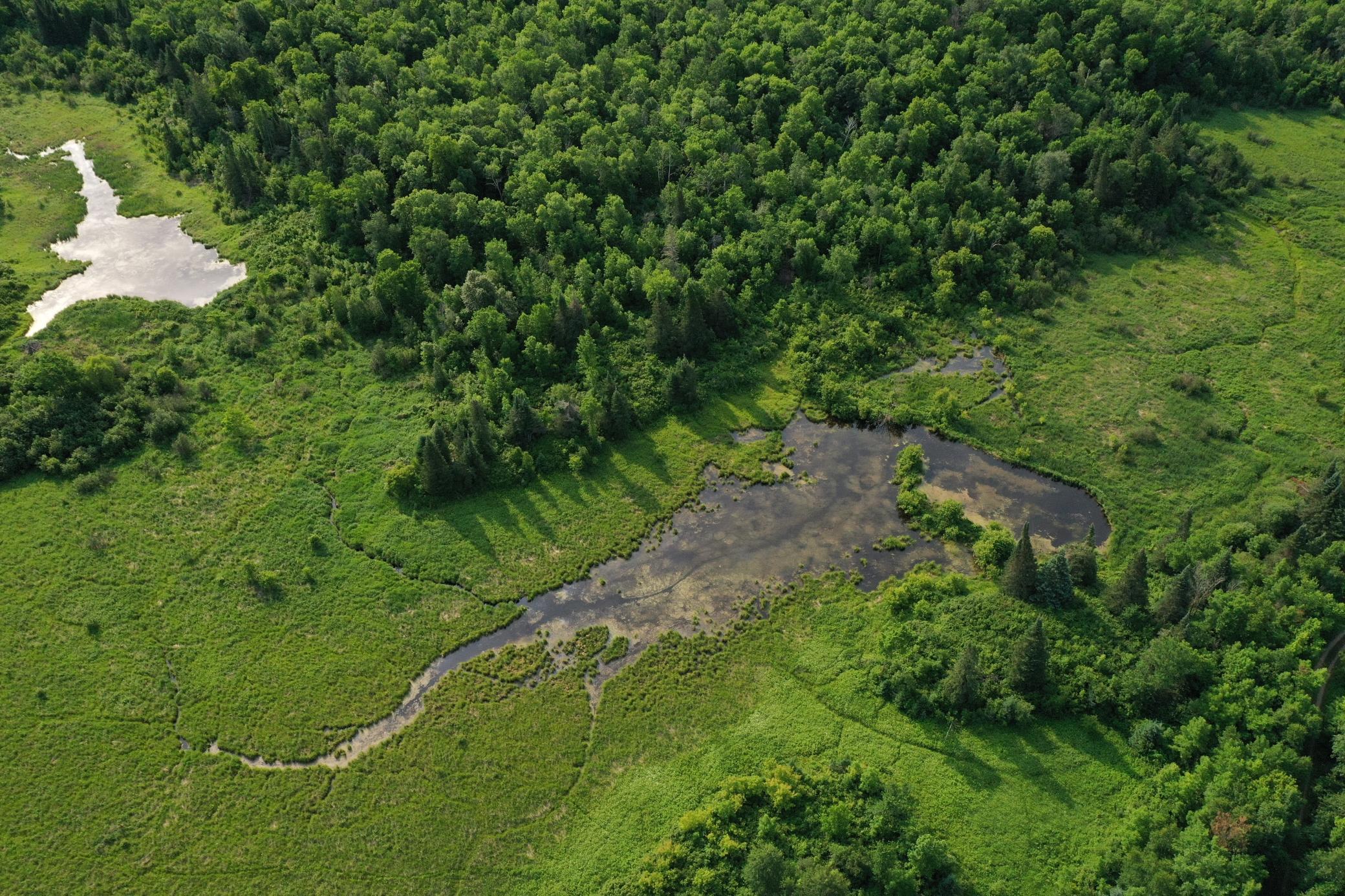 1991 land for sale at 38953 Ada Beach Road in Waubun, MN (photo 13 of 94)